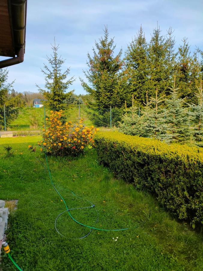 Apartament Cichy Zakatek Kłodzko Zewnętrze zdjęcie